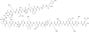 β-Endorfin struktur med sekvensen Tyr-Gly-Gly-Phe-Met-Thr-Ser-Glu-Lys-Ser-Gln-Thr-Pro-Leu-Val-Thr-Leu-Phe-Lys-Asn-Ala-Ile-Ile-Lys-Asn-Ala-Tyr-Lys-Lys-Gly-Glu. Opphav: Edgar181/wikipedia
